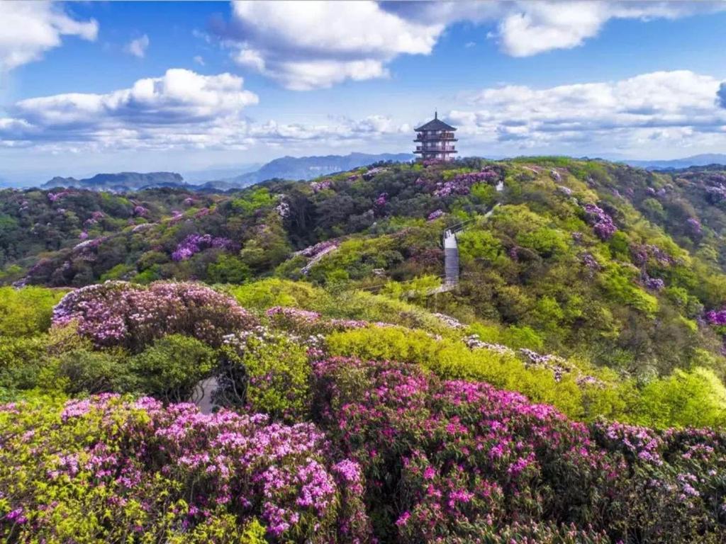 7天优品·重庆南川政府广场店